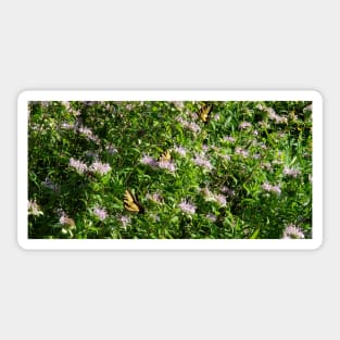 Flowers & Monarch Butterfly - Deep Summer Blooms Sticker